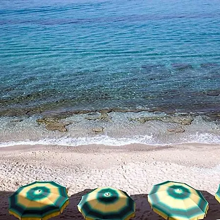 Villaggio Da Ciccio Sul Mare 3* Capo Vaticano